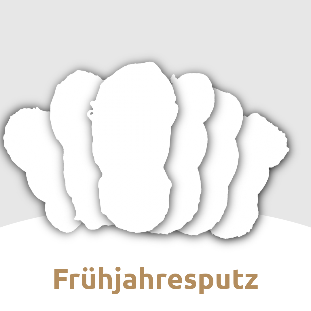 Frühjahrsputz 6er Wollpaket